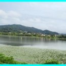 유진부동산중개 이미지