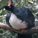 구안농장 이미지