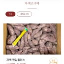 무안농장 | 6시내고향 무안 자색고구마 농장 택배 주문처 알아보기
