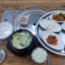 울도해변민박 | [인천 굴업도] 개머리언덕/목기미해변/연평산