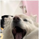 시화유치원 이미지