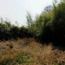 섬진강공인중개사사무소 이미지