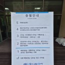 영통구보건소 | 영통구 보건소 - 무료 산전검사 + 유로검사 후기