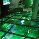 효성메디팜 이미지