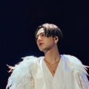 241222 Echoes of Duality Osaka Final 후기