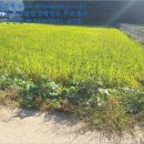 산대경로당 이미지