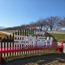 조산리 | 양양 캠핑 후 남대천 국화동산, 갈대밭 방문 후기