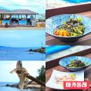마카올래 | 삼척 장호항 맛집 카누 스노쿨링 앞 오션뷰 횟집 추천 마카올래