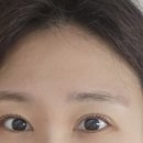 브로우바이슈 네이버블로그