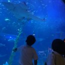 쏠레민박 | 제주 성산 가볼만한곳/깨끗한 성산일출봉 숙소 '쏠레민박'