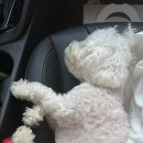 멍블랑제리 이미지