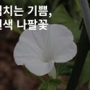 오늘도기쁨14