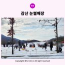 감산 | 대구근교 경주 감산 눈썰매장 내돈내산 맘편히 다녀온 후기 (요금/설질상태/주차/이용시간)
