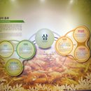 풍기고려인삼사 이미지