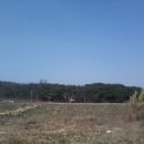 상구3리 이미지