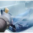 원단양농장 이미지