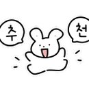 보드레 에스테틱