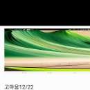 고마움 Daum카페