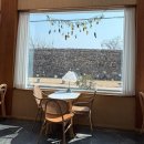 레몬산부인과의원 | 임신 34주 서산 엠산후조리원 산전마사지 후기 / 산후마사지 가격