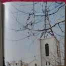 안양중앙교회건물 이미지