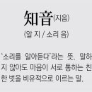 지음 Daum카페