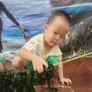 피터팬어린이집 이미지