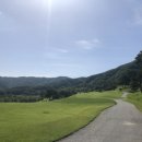 파인 힐링 이미지