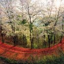 계족산약수터 이미지