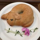 카페 몽화원 | [몽화원] 안산 고잔동 카페 몽화원, 댕꿀잠 베이글...푸딩 · 하루 에이드 후기 (애견 동반 가능 카페)