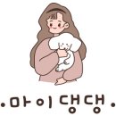 댕댕애견 이미지