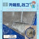 세탁 | 광주 사이잘룩 카페트 청소 러그 세탁 후기