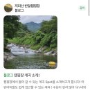 경남 5성급 계곡캠핑장 | 산청 지리산 반달캠핑장 타프존 C-07 후기