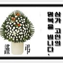 통샘 이미지