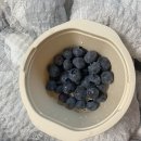 향촌농장 이미지