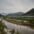 버섯구지마을 이미지