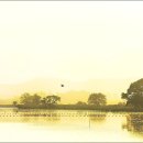 창녕 우포늪 이미지