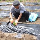 장현농장 이미지