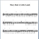 Phonics -14 (E가 포함된 단어 바르게 읽기)_song:Mary had a little lamb 이미지