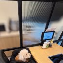 꽃마을로4 이미지