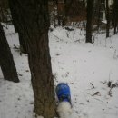 장창주농장 이미지