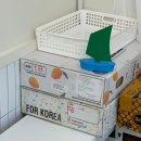베어문과일;빙수 | 수원 신동카페거리 빙수 베어문 과일&빙수 영통점 사계절 생망고빙수 먹을수 있는곳