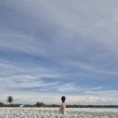 나의 수학 해방일지 | 존재를 인정받는다는 것, 나의 해방일지 후기