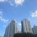 진로아파트경로당 | 영등포구 당산 진로아파트 임장후기 (251116)