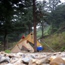 산야초 자연 캠핑장 이미지