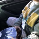 티라노모텔 이미지