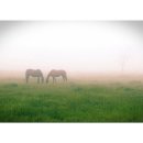 참조은농장 이미지