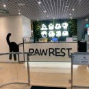 동물진료법인 포레스트 이미지