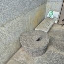 옹심이네칼국수 네이버블로그