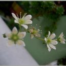 송정하우스 이미지