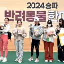 송파구여성축구장 이미지